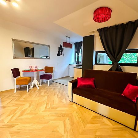 The Vintage - Wonderful Apartment In Best Location クラヨーヴァ エクステリア 写真