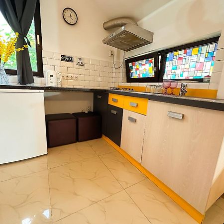 The Vintage - Wonderful Apartment In Best Location クラヨーヴァ エクステリア 写真