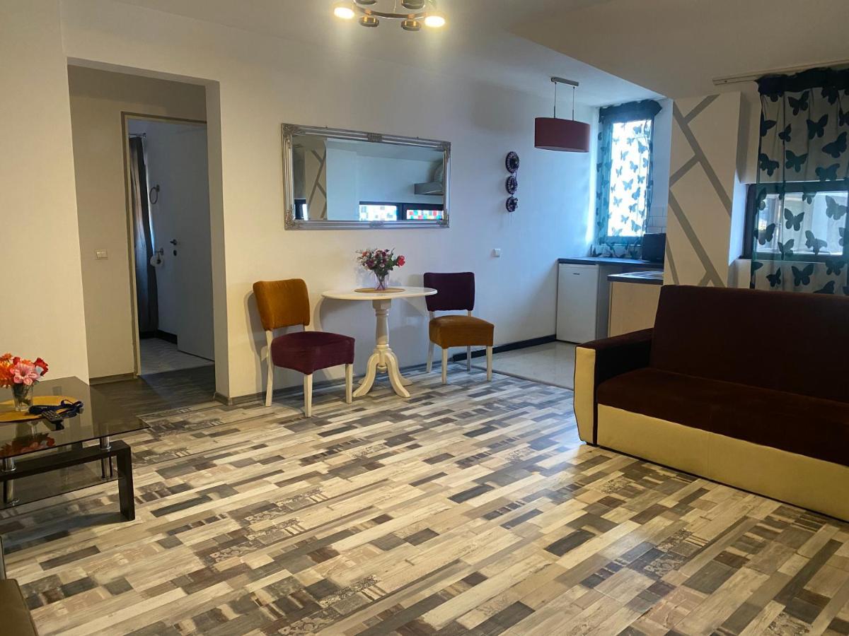 The Vintage - Wonderful Apartment In Best Location クラヨーヴァ エクステリア 写真