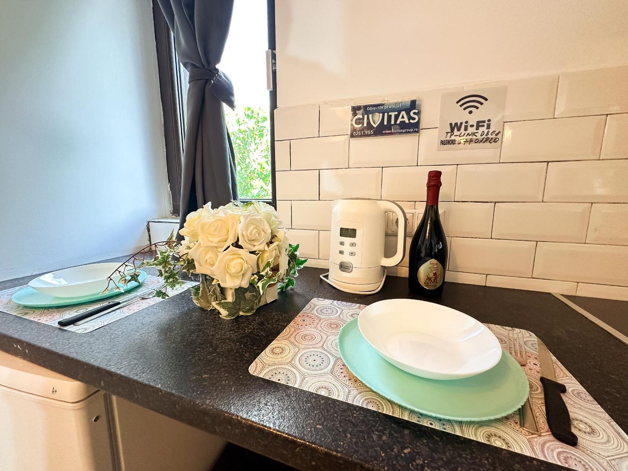 The Vintage - Wonderful Apartment In Best Location クラヨーヴァ エクステリア 写真