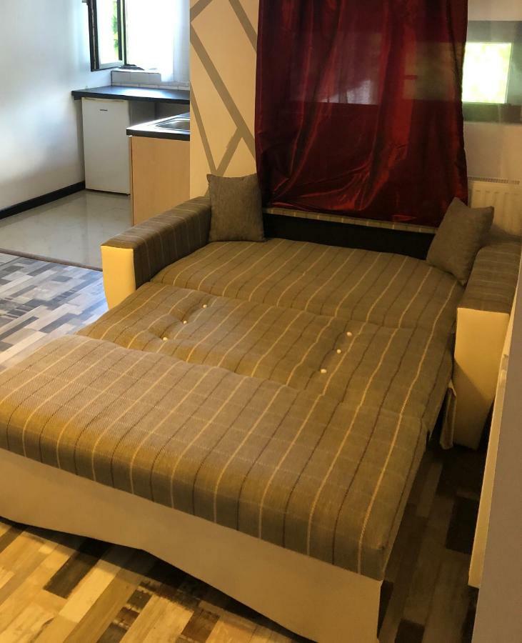 The Vintage - Wonderful Apartment In Best Location クラヨーヴァ エクステリア 写真
